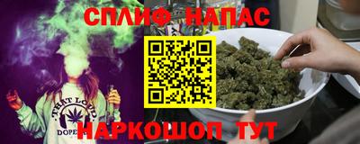 a pvp Ставрополь