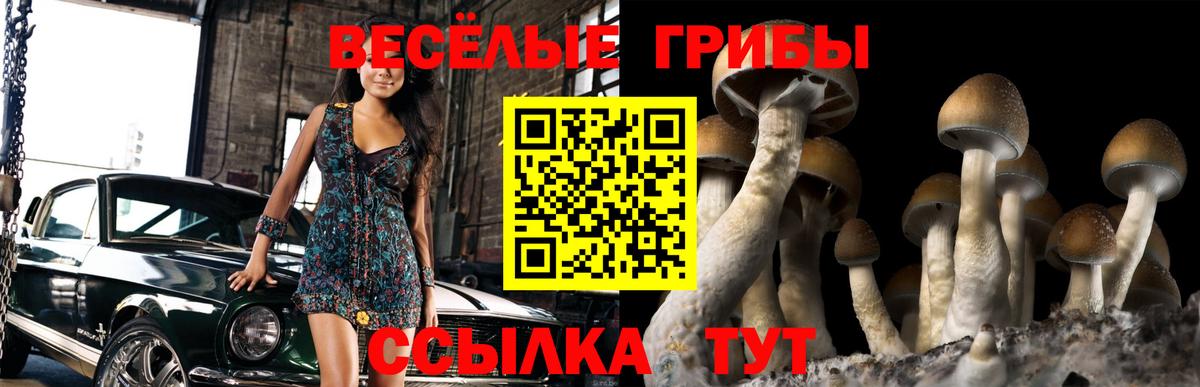 Псилоцибиновые грибы Psilocybe  Галлюциногенные грибы Psilocybe  Саяногорск  Вход с VPN 